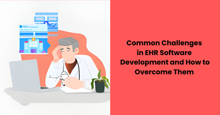 ehr-software-development-challenges