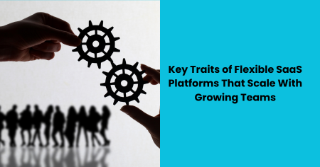 flexible-saas-platforms-that-scale-with-teams